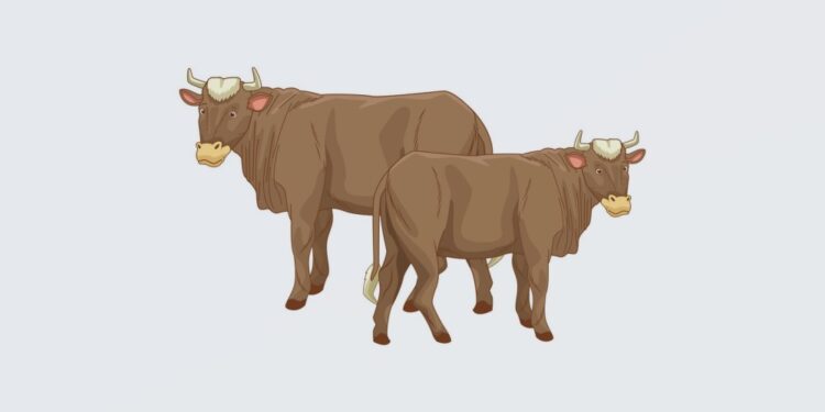 World's economy explained with two cows