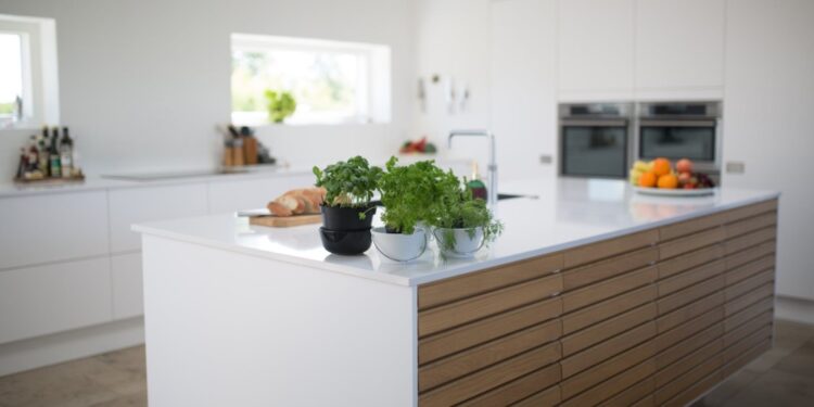 Eco-friendly kitchen decor ideas you should know