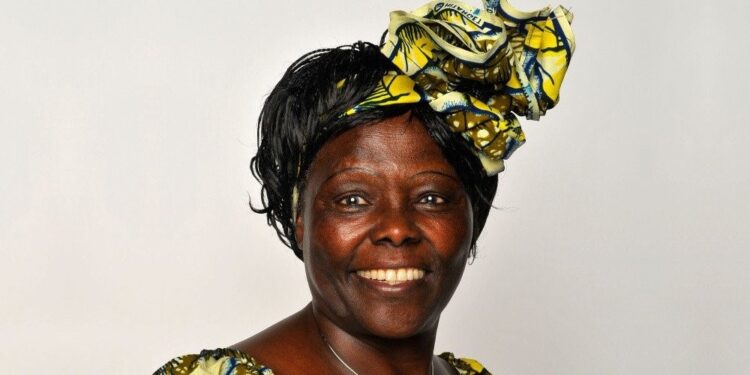 Best quotes from Wangari Maathai